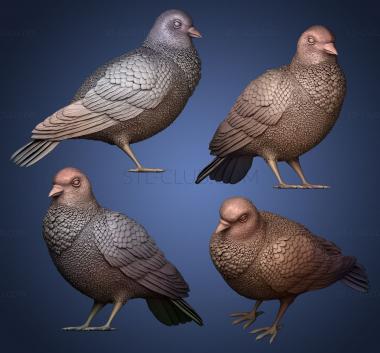 3D model Dove (STL)